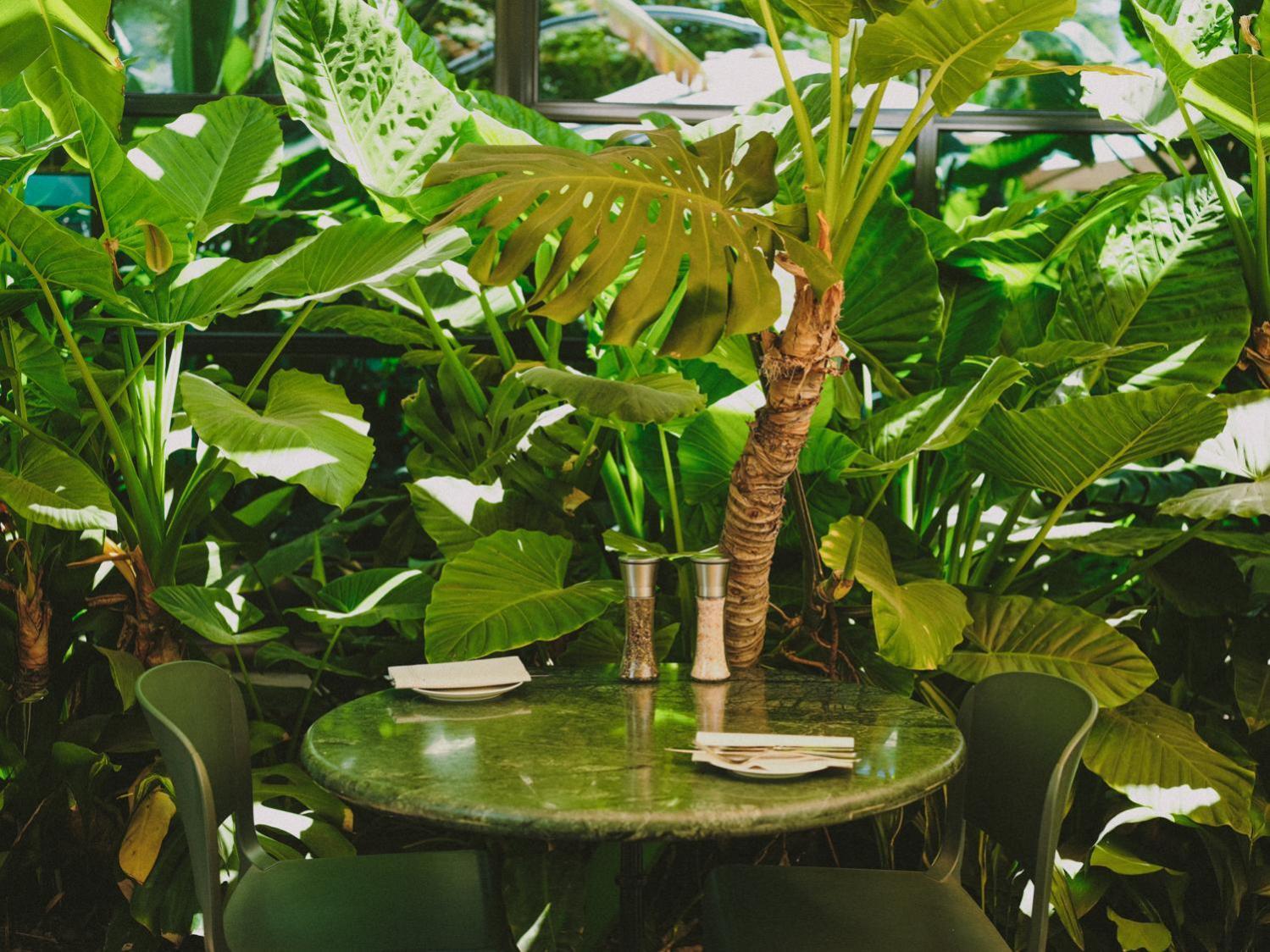 Hotel Eco Boutique Bidasoa Santiago Ngoại thất bức ảnh