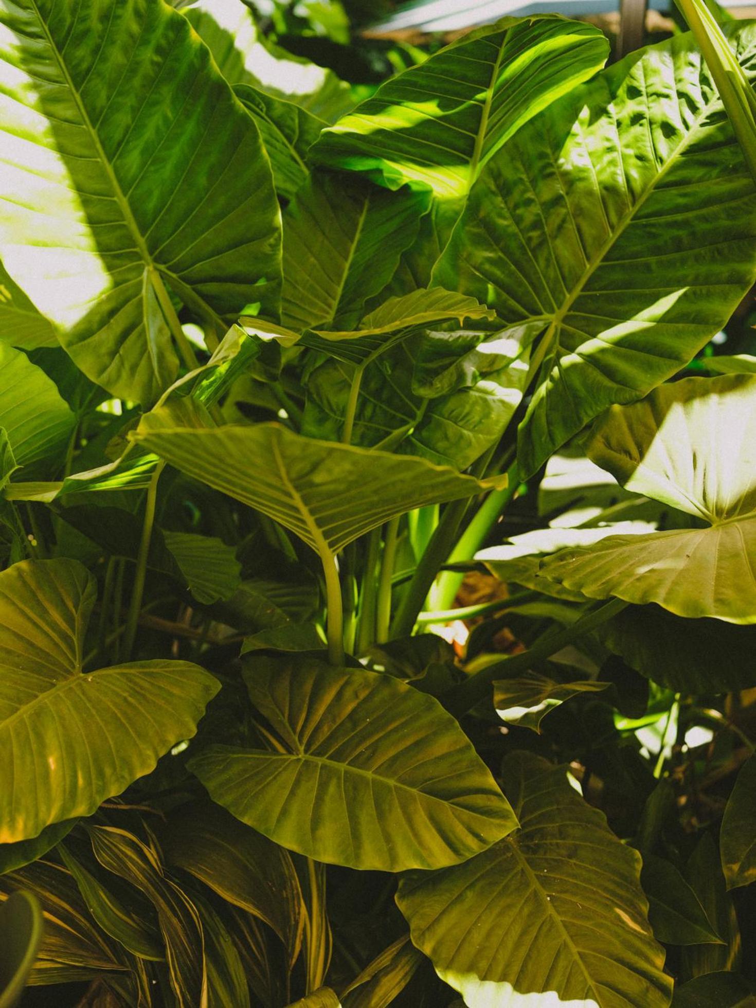 Hotel Eco Boutique Bidasoa Santiago Ngoại thất bức ảnh