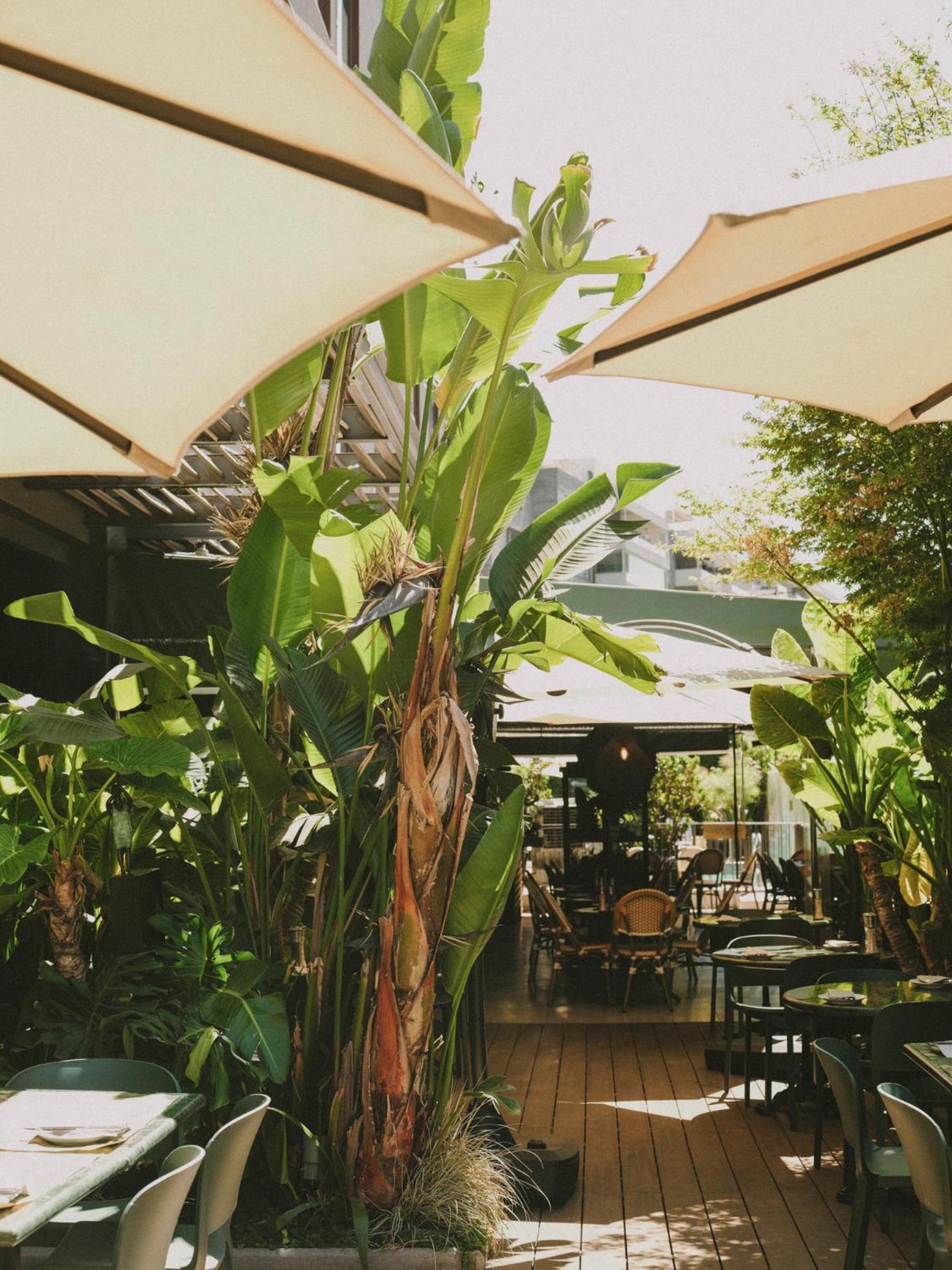 Hotel Eco Boutique Bidasoa Santiago Ngoại thất bức ảnh